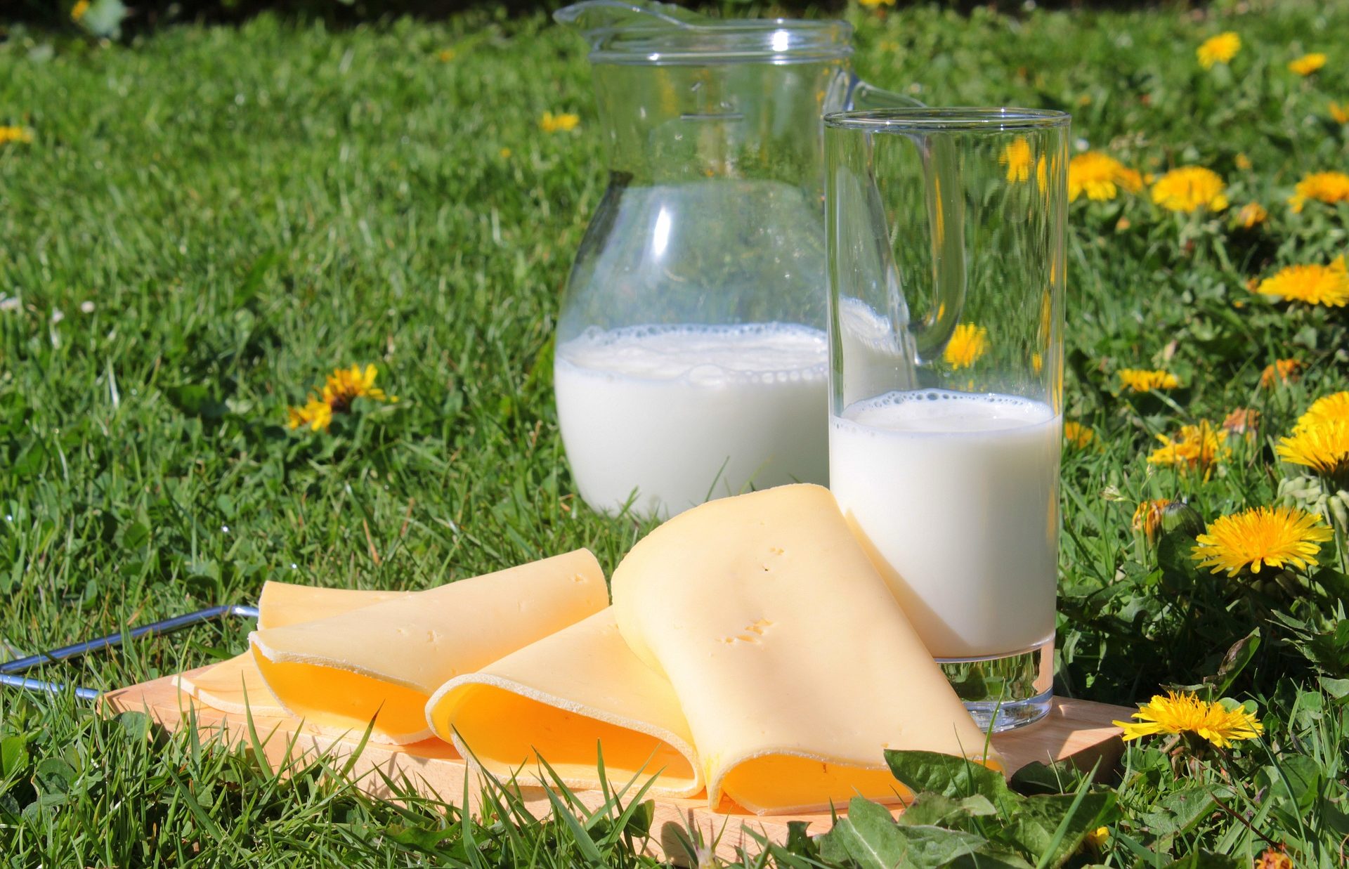 productos lácteos en jardín
