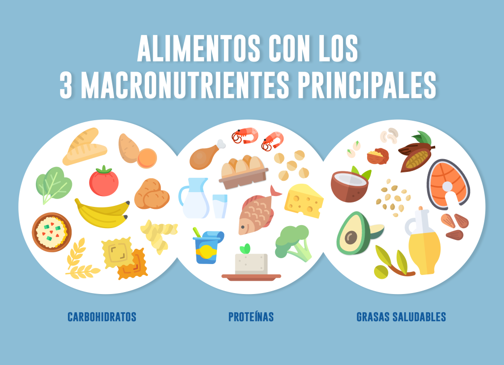 Alimentos macronutrientes 